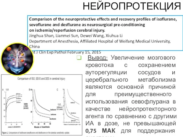 Comparison of the neuroprotective effects and recovery profiles of isoflurane, sevoflurane