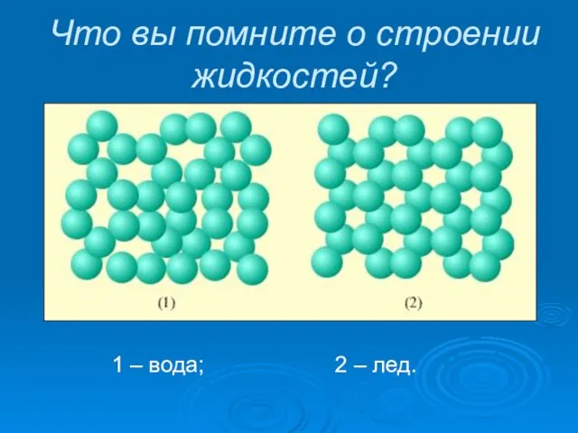 Что вы помните о строении жидкостей? 1 – вода; 2 – лед.