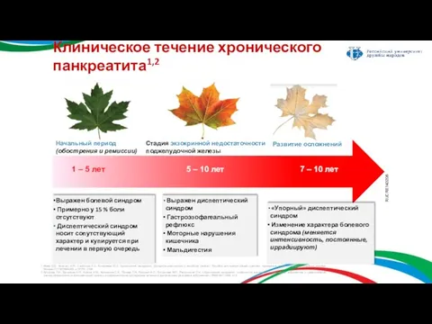 Клиническое течение хронического панкреатита1,2 Выражен диспептический синдром Гастроэзофагеальный рефлюкс Моторные нарушения