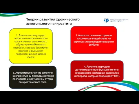 Теории развития хронического алкогольного панкреатита 1. Алкоголь стимулирует секрецию панкреатического сока