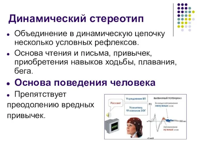 Динамический стереотип Объединение в динамическую цепочку несколько условных рефлексов. Основа чтения