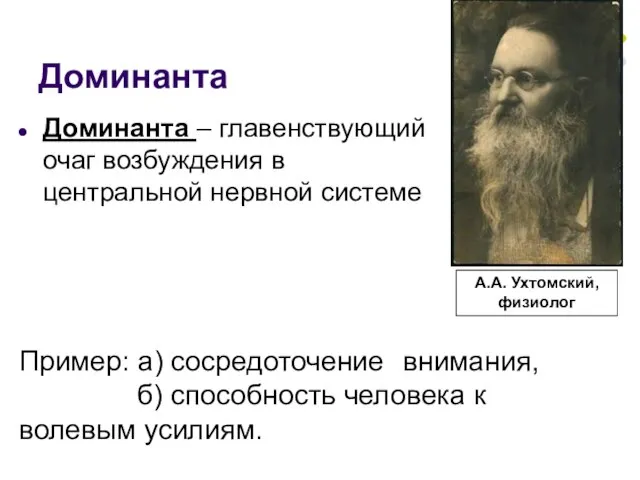 Доминанта Доминанта – главенствующий очаг возбуждения в центральной нервной системе Пример: