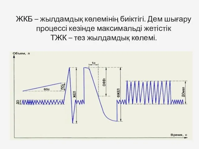 ЖКБ – жылдамдық көлемінің биіктігі. Дем шығару процессі кезінде максимальді жетістік ТЖК – тез жылдамдық көлемі.