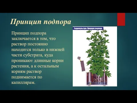 Принцип подпора Принцип подпора заключается в том, что раствор постоянно находится