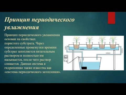 Принцип периодического увлажнения Принцип периодического увлажнения основан на свойствах пористого субстрата.