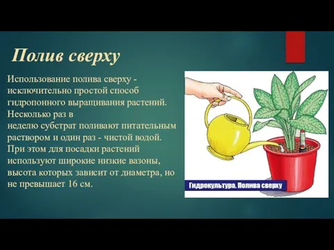 Полив сверху Использование полива сверху - исключительно простой способ гидропонного выращивания