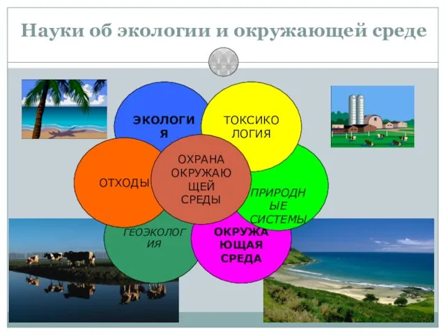 13 Науки об экологии и окружающей среде