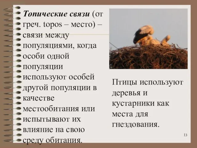 Топические связи (от греч. topos – место) – связи между популяциями,