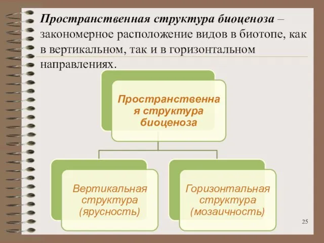 Пространственная структура биоценоза – закономерное расположение видов в биотопе, как в