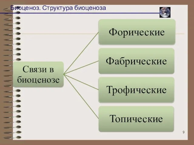 Биоценоз. Структура биоценоза