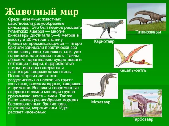 Животный мир Среди наземных животных царствовали разнообразные динозавры. Это был период