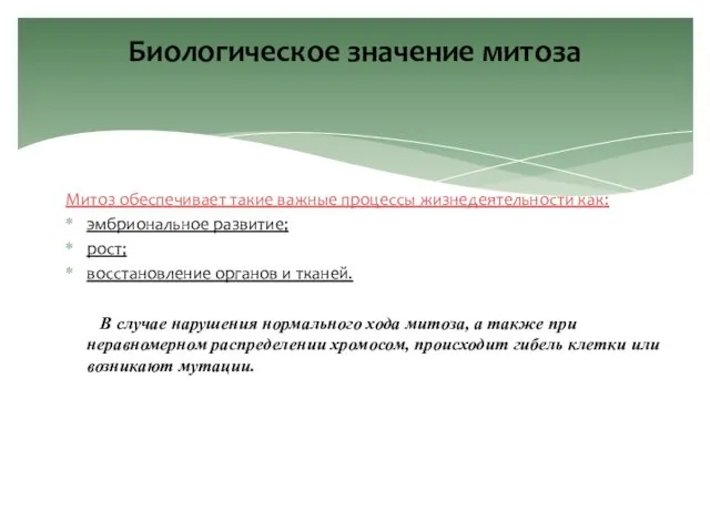 Биологическое значение митоза Митоз обеспечивает такие важные процессы жизнедеятельности как: эмбриональное