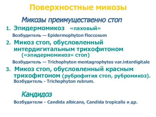 Микозы преимущественно стоп 1. Эпидермомикоз «паховый» Возбудитель — Epidermophyton floccosum 2.