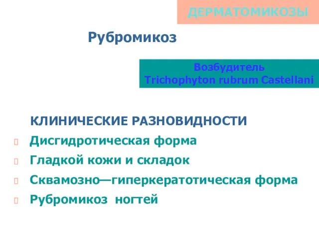 ДЕРМАТОМИКОЗЫ Рубромикоз Возбудитель Trichophyton rubrum Castellani КЛИНИЧЕСКИЕ РАЗНОВИДНОСТИ Дисгидротическая форма Гладкой