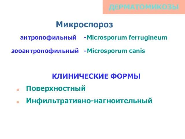 ДЕРМАТОМИКОЗЫ КЛИНИЧЕСКИЕ ФОРМЫ Поверхностный Инфильтративно-нагноительный Микроспороз антропофильный -Microsporum ferrugineum зооантропофильный -Microsporum canis