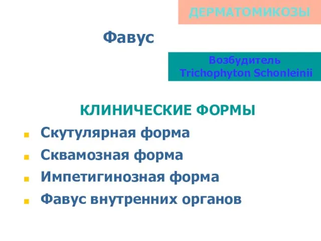 ДЕРМАТОМИКОЗЫ Фавус Возбудитель Trichophyton Schonleinii КЛИНИЧЕСКИЕ ФОРМЫ Скутулярная форма Сквамозная форма Импетигинозная форма Фавус внутренних органов