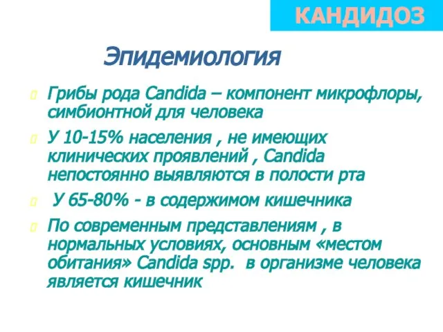 Эпидемиология Грибы рода Candida – компонент микрофлоры, симбионтной для человека У