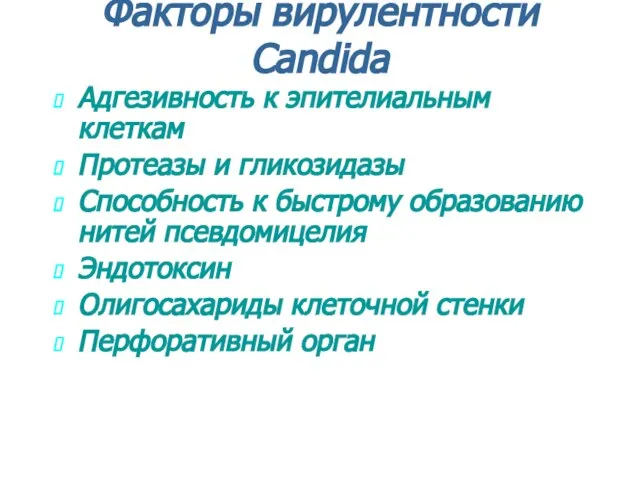 Факторы вирулентности Candida Адгезивность к эпителиальным клеткам Протеазы и гликозидазы Способность