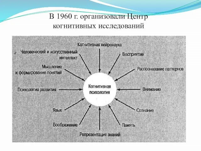 В 1960 г. организовали Центр когнитивных исследований