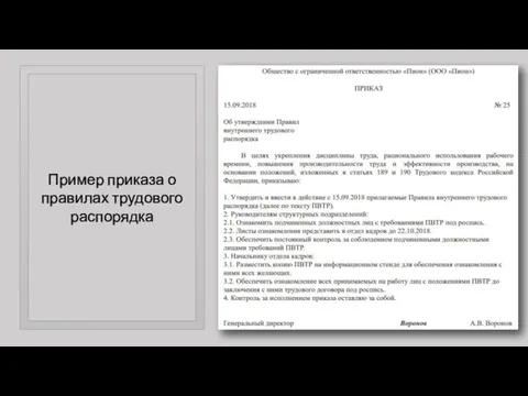 Пример приказа о правилах трудового распорядка