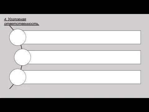 4. Уголовная ответственность.