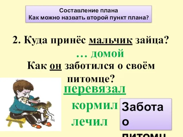 2. Куда принёс мальчик зайца? Как он заботился о своём питомце?