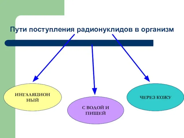 Пути поступления радионуклидов в организм ИНГАЛЯЦИОННЫЙ С ВОДОЙ И ПИЩЕЙ ЧЕРЕЗ КОЖУ