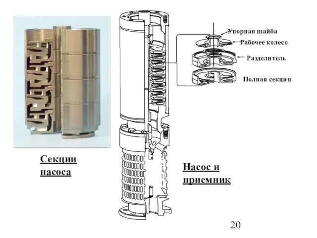 Секции насоса Насос и приемник Полная секция