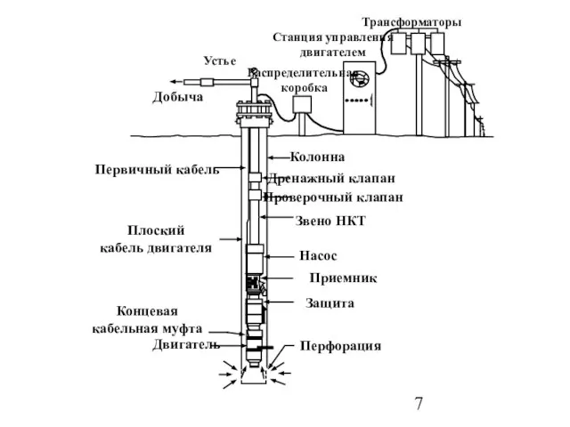 Перфорация Защита Приемник Насос Звено НКТ Проверочный клапан Дренажный клапан Колонна