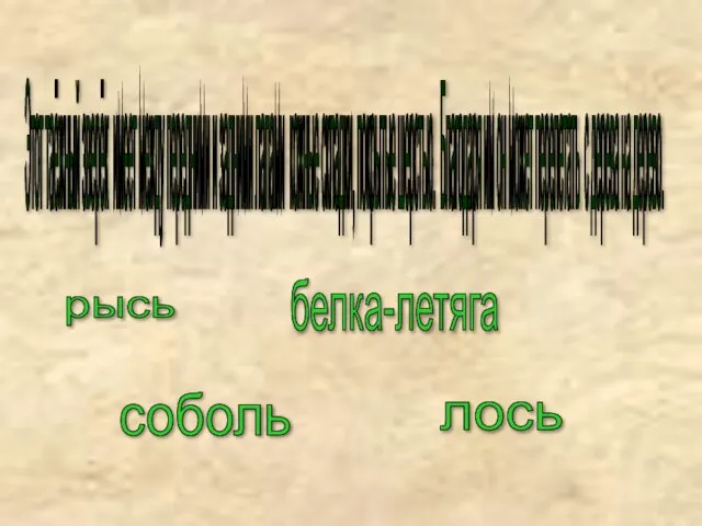 Этот таёжный зверёк имеет между передними и задними лапами кожные складки,