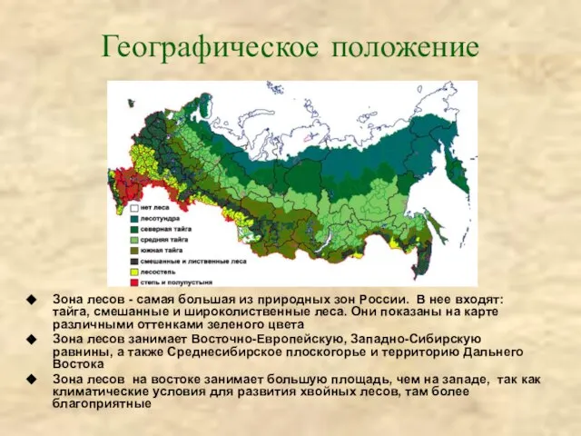 Географическое положение Зона лесов - самая большая из природных зон России.