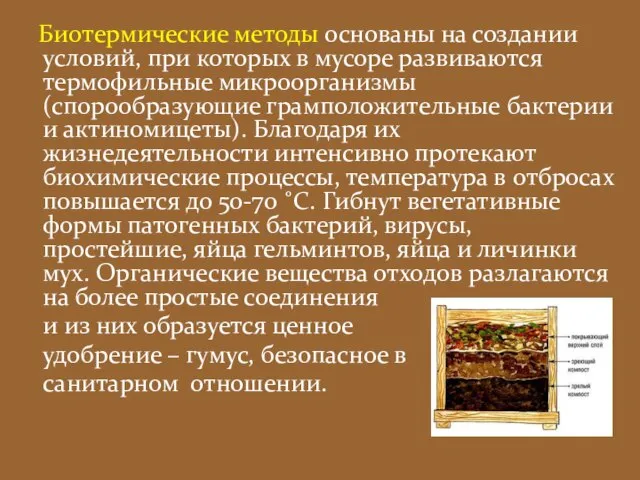 Биотермические методы основаны на создании условий, при которых в мусоре развиваются