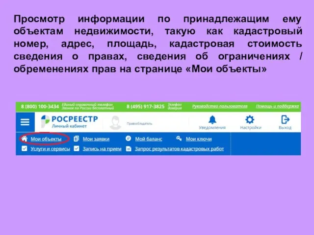 Просмотр информации по принадлежащим ему объектам недвижимости, такую как кадастровый номер,