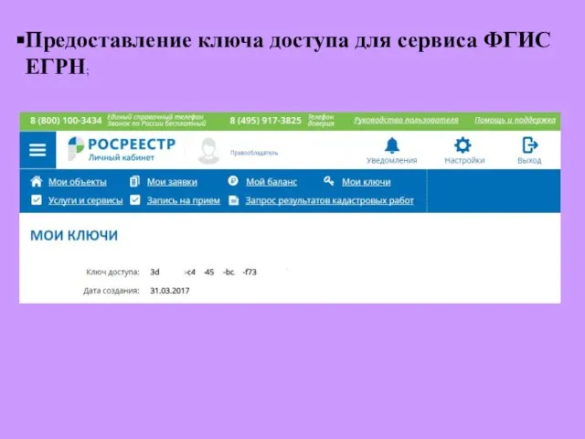 Предоставление ключа доступа для сервиса ФГИС ЕГРН;