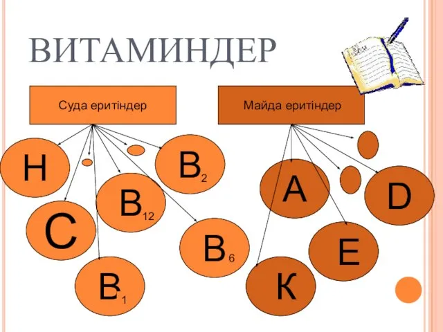 ВИТАМИНДЕР Суда еритіндер Майда еритіндер С А D В В В