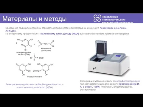 Приволжский исследовательский медицинский университет Материалы и методы Реакция взаимодействия тиобарбитуровой кислоты