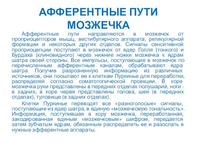 АФФЕРЕНТНЫЕ ПУТИ МОЗЖЕЧКА Афферентные пути направляются в мозжечок от проприоцепторов мышц,