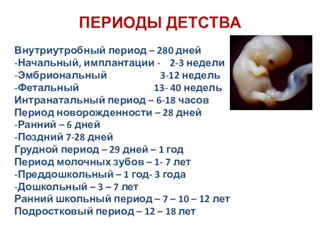 ПЕРИОДЫ ДЕТСТВА Внутриутробный период – 280 дней -Начальный, имплантации - 2-3