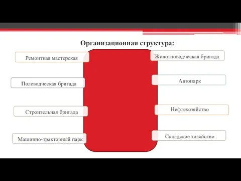 Организационная структура: