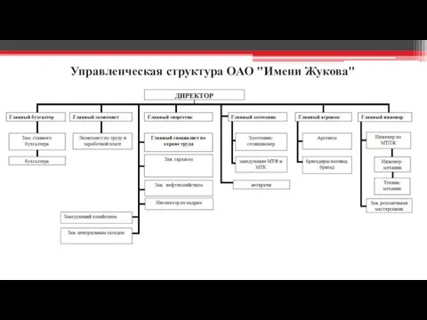 Управленческая структура ОАО "Имени Жукова"