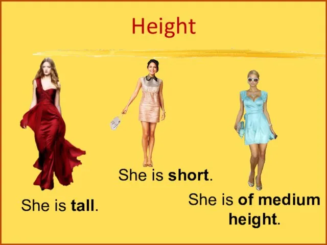 Height She is tall. She is short. She is of medium height.