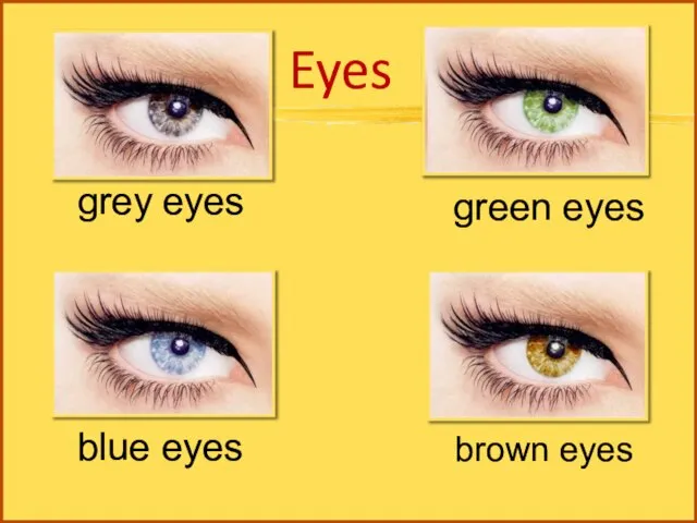 Eyes grey eyes blue eyes green eyes brown eyes