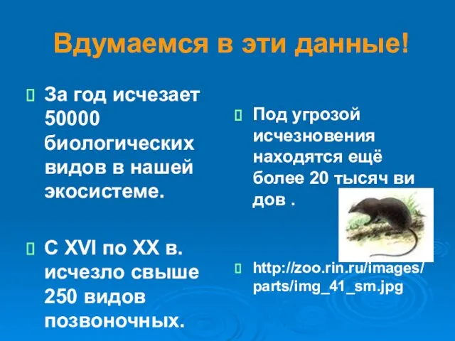 Вдумаемся в эти данные! За год исчезает 50000 биологических видов в