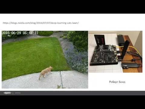 Роберт Бонд https://blogs.nvidia.com/blog/2016/07/07/deep-learning-cats-lawn/