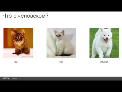 Что с человеком? КОТ КОТ СОБАКА