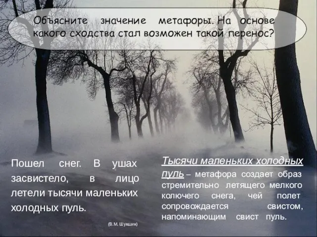 Объясните значение метафоры. На основе какого сходства стал возможен такой перенос?