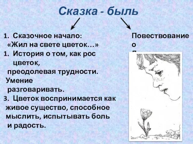 Сказка - быль Сказочное начало: «Жил на свете цветок…» История о