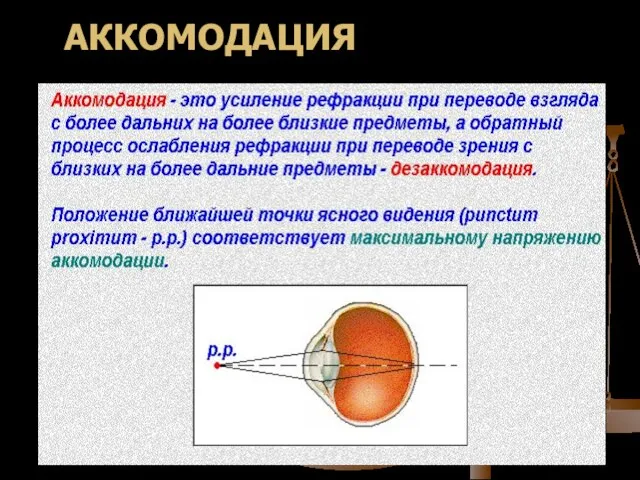 АККОМОДАЦИЯ