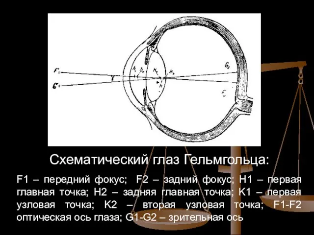 Схематический глаз Гельмгольца: F1 – передний фокус; F2 – задний фокус;