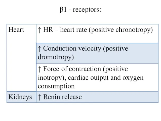 β1 - receptors: